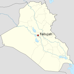 fallujah.png